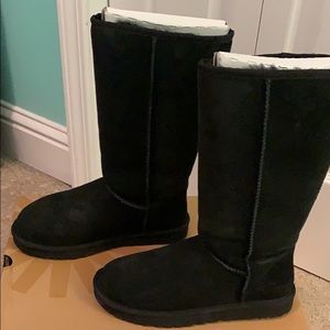 NEVER WORN Tall Ugg Boots